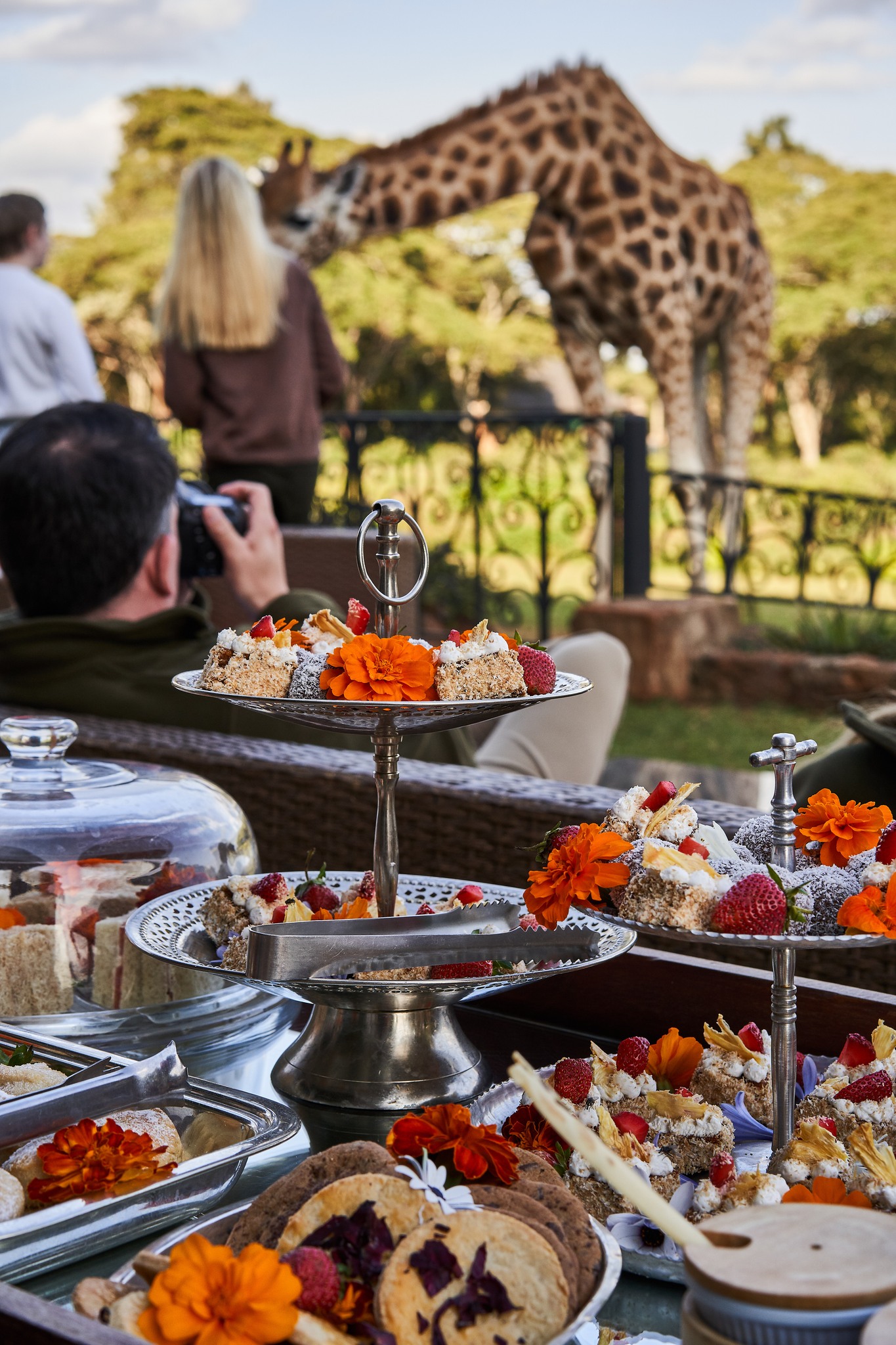 There are luxury stays… and then there’s breakfast with giraffes. Set on the edge of Nairobi’s indigenous forest, Giraffe Manor is one of the world’s most extraordinary boutique hotels - a 1930s stately home where endangered Rothschild’s giraffes roam freely across 140 acres of private grounds. Awarded three Michelin Keys for exceptional hospitality, this ivy-clad manor offers just twelve individually styled rooms, vintage elegance, canopied beds and unforgettable wildlife encounters that simply can’t be replicated anywhere else in the world.