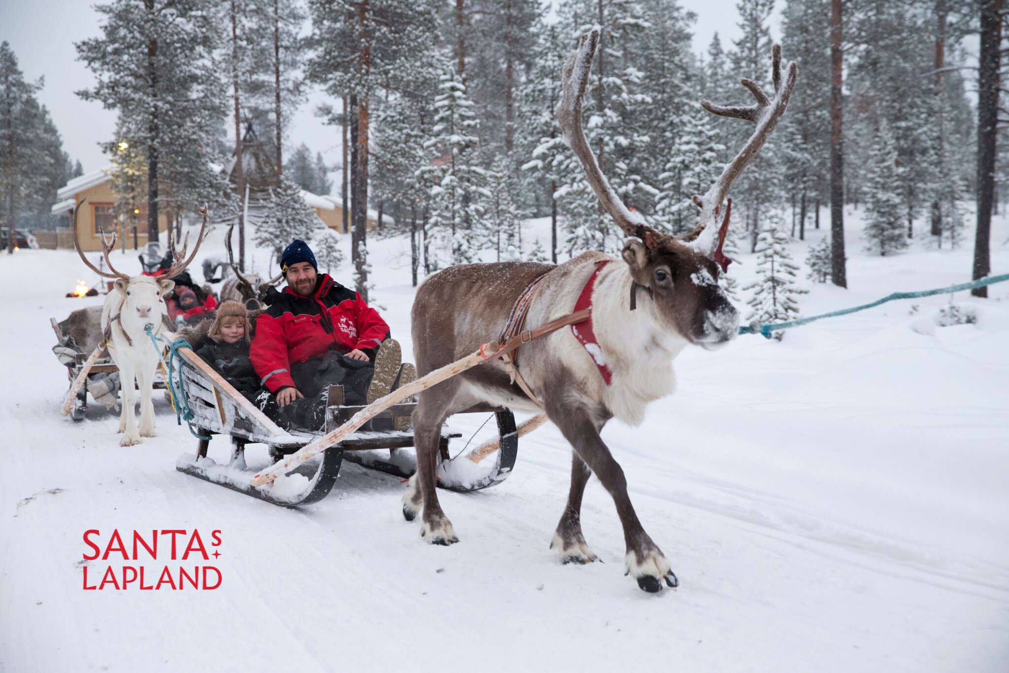 Escape to a snowy Lapland adventure where festive fun, husky rides, reindeer sleighs and magical moments with Santa await the whole family. ✨
Santa’s Magic-
Husky sled ride
Reindeer sleigh ride
Mini-skidoos, snow hockey, tobogganing & kick sledding
Lively shows with the elves
Festive Dinner on your final evening
Private meeting with Santa
Thermal suits & boots included
Santa’s Hotel Riekonlinna-
Family rooms, suites & forest apartments, cabin-style on one level
Northern Lights viewing room with squishy sofas
Playroom for kids, gym & sauna
Cosy bar with open fireplace
Boutique gift shop
Buffet breakfast & dinner in the main building